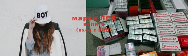 apvp Алексин
