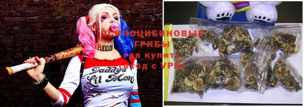 apvp Алексин