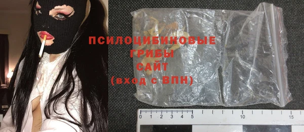 прущие грибы Алексеевка
