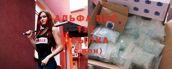 прущие грибы Алексеевка