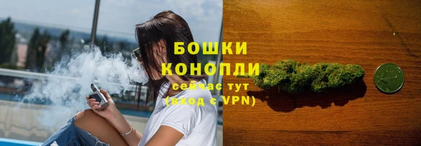 ПСИЛОЦИБИНОВЫЕ ГРИБЫ Сосновка