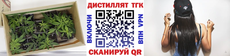 сколько стоит  Междуреченск  Дистиллят ТГК вейп с тгк 