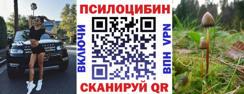 Галлюциногенные грибы прущие грибы  закладки  Междуреченск 