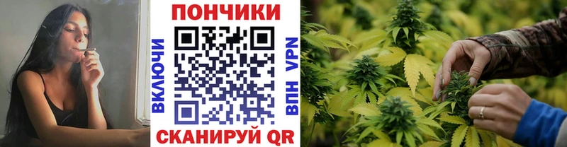 ОМГ ОМГ   Междуреченск  Бошки марихуана VHQ 